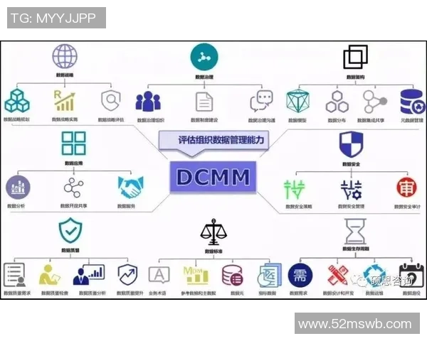 广州排球队精英赛战术分析与表现评估全面解读