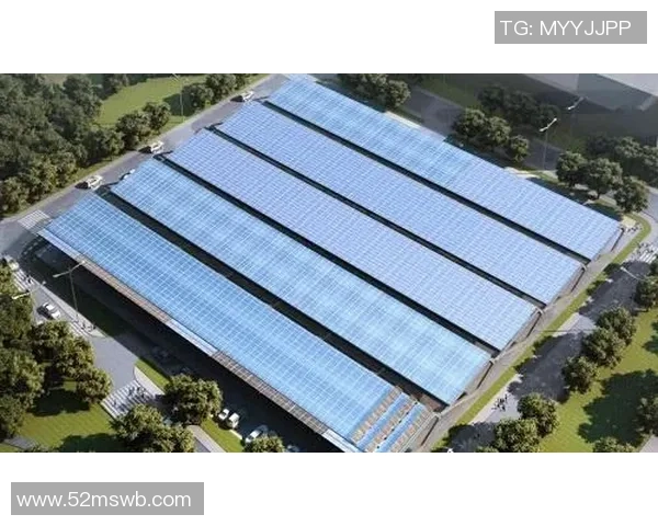 上海足球队在钻石联赛中的实力表现与未来发展潜力分析