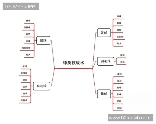 深圳篮球队战术深度解析：从进攻到防守的全景探秘