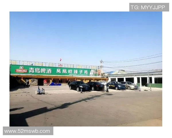 武汉篮球队的华丽转身：从传统强队到现代化竞技新标杆的探索之旅